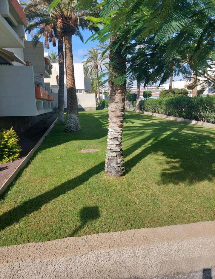 Apartment Orita